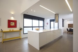 פנטהאוז הוד השרון